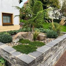 Auf ihren wunsch setzen wir auch steine und platten aus marmor ein. Kiesbeet Aber Richtig Gartengestaltung Michael