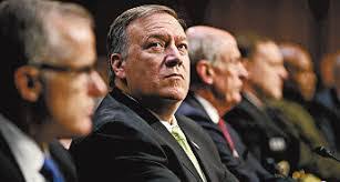 Daniel Kenealy's Instagram, Twitter & Facebook