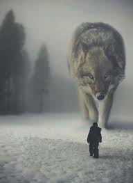 Pin By Neno Sena On Wolves And Coyotes Wolf Spirit Animal Wolf Pictures Animals