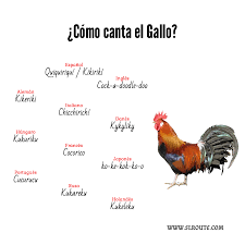 Nacidos en 1933, 1945, 1957, 1969, 1981, 1993, 2005 y 2017 Traductor De Hungaro Espanol Traducrot