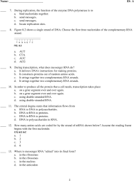 Transcription enzymes use the base. Chapter 8 From Dna To Proteins Test Proteinwalls