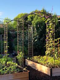 Deep Root Cedar Raised Beds 4 Ft Cedar Raised Garden Beds In 2020 Garden Layout Garden Layout Vegetable Veggie Garden Layout