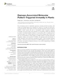 Pdf Damage Associated Molecular Pattern Triggered Immunity In Plants