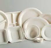 Explore the Types of Bagasse Plates