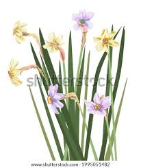 The illustration is available for download in high resolution quality up to 8858x8858 and in eps file format. Shutterstock Puzzlepix