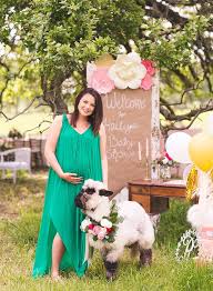 Pink Farm Animal Baby Shower Inspired By This Farm Baby Shower Farm Baby Shower Theme Baby Shower Theme Decorations