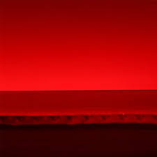 Red Flexible Led Light Strip 5m Glowy Shit