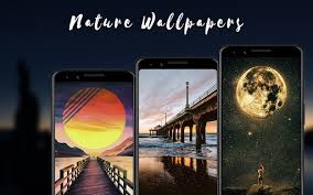 Support us by sharing the content, upvoting wallpapers on the page or sending your own background pictures. Wallpixel 4k Hd Amoled Wallpapers Apk Download For Android