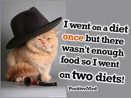 Pin By Terra Lyn On Uplifting Diet Motivation Funny Funny Diet Quotes Cat Diet