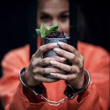 Alcotraz Covent Garden: Cell Block Six Eight