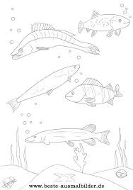 Ausmalbilder Fische Hecht 1058 Malvorlage Fische Ausmalbilder Kostenlos Ausmalbilder Fische Hecht Zum Ausdrucken Ausmalbilder Fische Ausmalen Fisch Vorlage