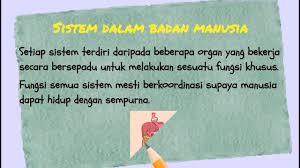 Tisu di bawah gelang tidak dapat makanan, menjadi kurus 2. Sains Tingkatan 1 Bab 2 2 1 Sel Struktur Fungsi Dan Organisasi Part 2 Youtube