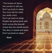 Don't go back to sleep (sufi poem) ♫. Suzanne Zeedyk On Twitter Nothing Should Go Back To Normal In The Words Of Rumi Don T Go Back To Sleep