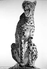 Select from 35970 printable coloring pages of cartoons, animals, nature, bible and many more. A Life Size Drawing Of Ø§Ù„Ø±Ø³Ù… Ø¨Ø§Ù„Ø±ØµØ§Øµ Pencil Drawing Facebook