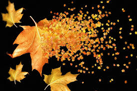 Find the perfect autumn leaves background stock photos and editorial news pictures from getty images. Autumn Leaves Background Free Photo On Pixabay