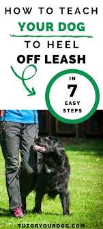Check spelling or type a new query. How To Teach A Dog To Heel Off Leash In 7 Easy Steps Tutor Your Dog Dog Training Tips Dog Training Advice Online Dog Training