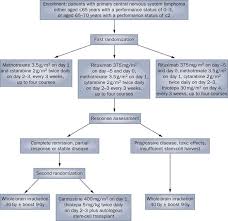 The nervous system, through the use of neurons, make human beings aware of their environment as well as their own bodily needs. Flows And Flaws In Primary Central Nervous System Lymphoma Nature Reviews Clinical Oncology