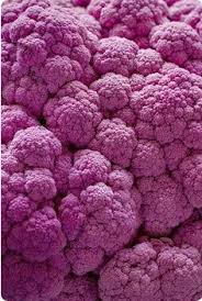 Inspiration Pourpre Photographie Texture Motif De La Nature