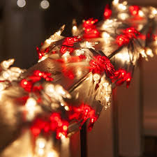 Garland Lights