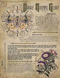 No 6 Book Of Shadows Printable Pages Of Ritual Poisonous Plants Herbs Witchcraft Herbal Grimoire Bos Sheets Green Witch Scrolls Of Venom Book Of Shadows Wiccan Magic Poisonous Plants