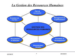 Resultat De Recherche D Images Pour Le Processus De Developpement Et D Amelioration Des Competences De Ressources Humains Pie Chart Job