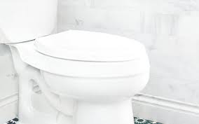 Buang tisu yang sudah digunakan ke dalam tong sampah. Pam Tandas Dengan Penutup Terbuka Boleh Akibatkan Jangkitan Covid 19 Free Malaysia Today Fmt