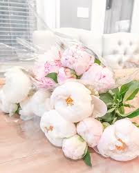 Although we have never had the pleasure of meeting in person, mom always spoke highly of you. Ell Sparkle Every Day On Instagram Peony Season Is My Favorite Season I Was Beyond Thrilled Peonies Season Beautiful Flowers Fresh Flowers