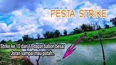 Engineered by liyong wong : 31 Ide Pancing Sungai Di 2021 Sungai Tilapia Pancing