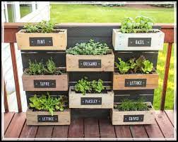 Herb hanging garden with ropes. Shoots Sprouts And Stems Gardening Advice And Ideas Special Garden Design Herb Garden Wall Diy Herb Garden Outdoor Herb Garden