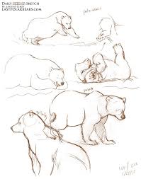 The Last Of The Polar Bears Dailysketch Animal Sketches Animal Drawings Bear Art