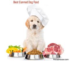 10 Best Canned Dog Food Reviews Buyers Guide