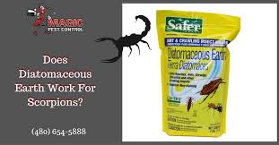 Diy bird pest control, common methods that control most birds. Does Diatomaceous Earth Work For Scorpions