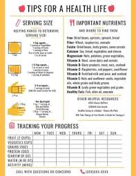 Learn 20 tips on how students can lead a healthy lifestyle. Handouts Applied Nutrition Student Works University Of New England
