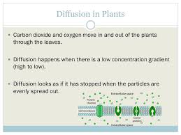 Diffusion is the movement of particles from a high to lower concentration. Diffusion Ppt Video Online Download