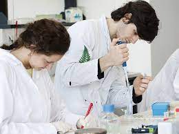 Leitfaden zur abfassung der bachelorarbeit29. Biologie Bachelor