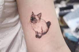 These Awesome Cat Tattoos Will Take Your Cat Obsession To The Next Level Kickass Things Cat Tattoo Small Cat Tattoo Designs Kitten Tattoo
