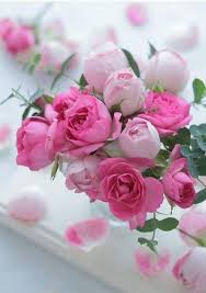 Pin On Good Morning