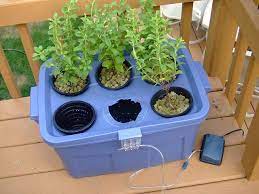 Hydroponic Stevia Garden Hydroponics Diy Homemade Hydroponic System Hydroponics