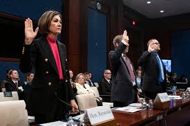 See Iowa Gov. Kim Reynolds testify about DOGE before Congress