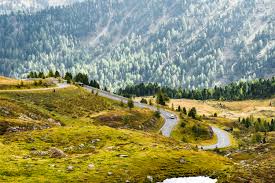 8,740 free images of austria. Beautiful Curvy Road In Austrian Nature Free Stock Photo Picjumbo