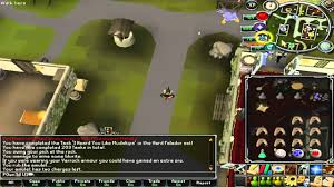 Completing one lap of the agility course is a medium task for the varrock achievement diary. Defender Of Varrock Quest Guide Runescape Youtube