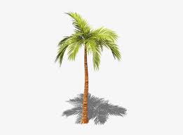 Preview Palm Tree With Shadow Png 362x568 Png Download Pngkit Search icons with this style. preview palm tree with shadow png