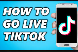 How To Go Live On Tiktok 2021 With 1000 Followers Sleek Food