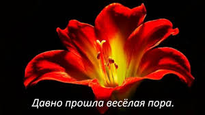 песня но в душе в неглиже я романтик скачать Druzyam Krasivaya Muzyka Dlya Dushi Muzyka Afrikanskie Kartiny Muzyka Serdca