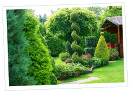 Mulching $125 per cubic yard black. Best Lawn Care Treatment Weed Control Service In Dallas Ga