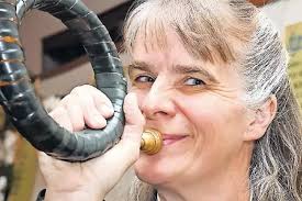 Schweinepest: Mehr Abschüsse