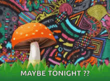 Unique wall art for your home & office from artstation. Trippy Mushroom Paintings Gifs Tenor