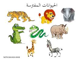 Ucapan selamat pagi bahasa arab. Jom Belajar Haiwan Liar ÙÙŠÙ„ Abdul Aziz Al Arabiy Facebook