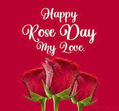 Start your day by sharing happy rose day wishes 2021. 90 Rose Day Wishes Messages And Quotes Wishesmsg