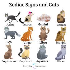 Dailyhoroscope Todayhoroscope Horoscope March This Is What Zodiac Signs Would Be If They Were Cats Sha Zodiac Signs Animals Zodiac Star Signs Zodiac Signs